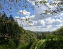 bild12 rom