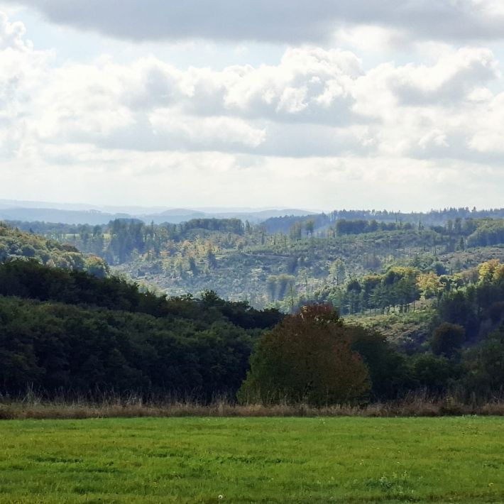 bild6 rom bild6 rom